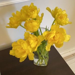 Meet your Posher, Patricia